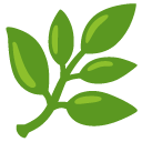 zioło — emotka w stylu Google (Android), Noto Emoji