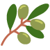 oliwka — emotka w stylu X (Twitter), Twemoji