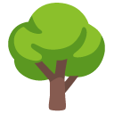 drzewo liściaste — emotka w stylu Google (Android), Noto Emoji