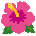 kwiat hibiskusa — emotka w stylu Google (Android), Noto Emoji