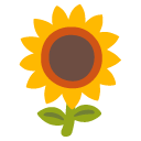 słonecznik — emotka w stylu Google (Android), Noto Emoji