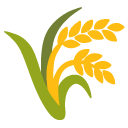 pędy ryżu — emotka w stylu Google (Android), Noto Emoji