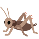 świerszcz — emotka w stylu Google (Android), Noto Emoji