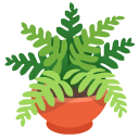 roślina doniczkowa — emotka w stylu Google (Android), Noto Emoji