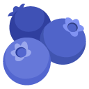 borówka amerykańska — emotka w stylu Google (Android), Noto Emoji
