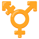 symbol transpłciowości — emotka w stylu Google (Android), Noto Emoji